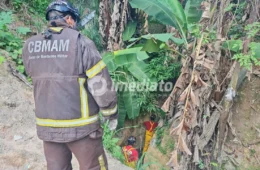 Bombeiros são acionados para resgatar dois cães que caíram em ribanceira no Braga Mendes, em Manaus