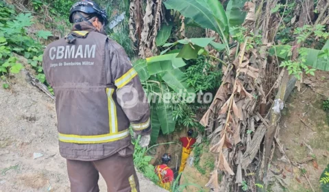 Bombeiros são acionados para resgatar dois cães que caíram em ribanceira no Braga Mendes, em Manaus