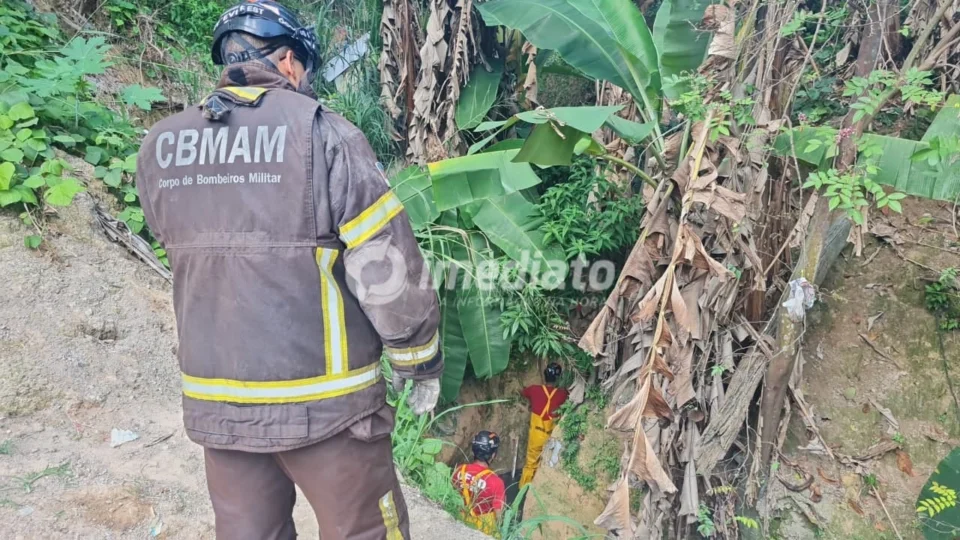 Bombeiros são acionados para resgatar dois cães que caíram em ribanceira no Braga Mendes, em Manaus