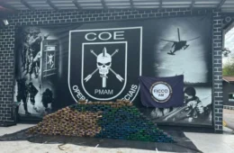 Balsa vinda do Peru é interceptada com 370 kg de cocaína escondidos em tanque no rio Solimões