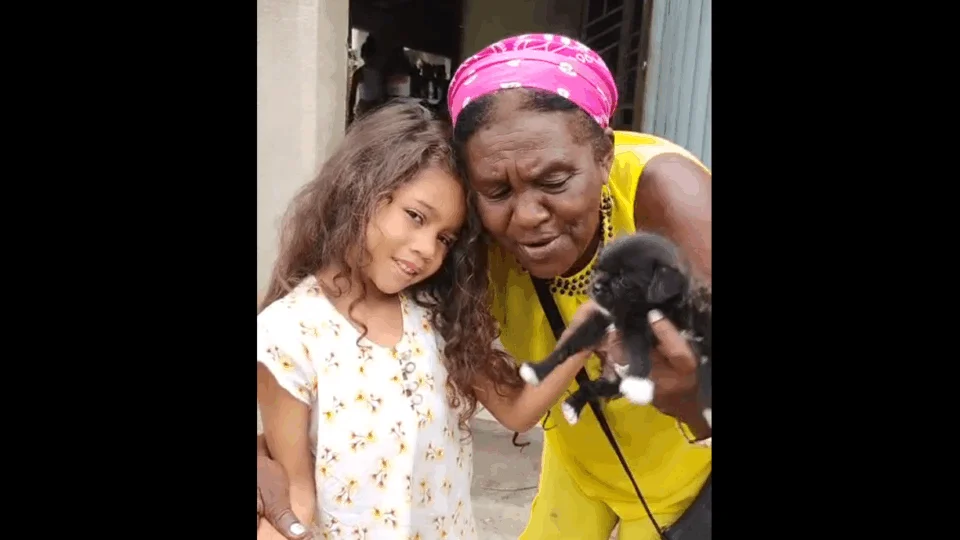 Filhote desaparecida é devolvida após reportagem e família encerra dia de desespero em Boa Vista