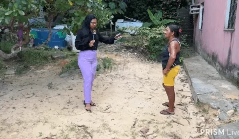 Moradora pede ajuda para remover casa de abelhas no Campo Sales, em Manaus