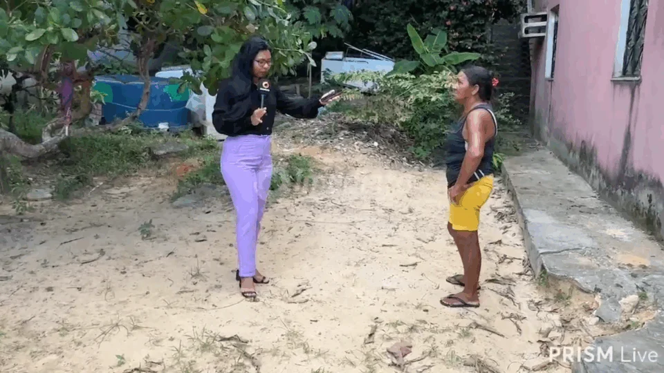 Moradora pede ajuda para remover casa de abelhas no Campo Sales, em Manaus