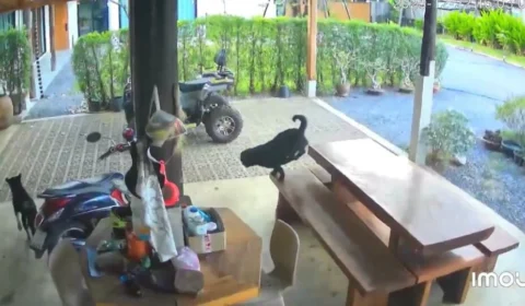 VÍDEO: foguetes atingem casa na Tailândia durante conflito com o Camboja