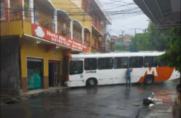 Governo lança aplicativo de aulas gratuitas para CNH e oficializa novas regras