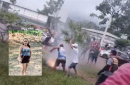 Imagens fortes: Mulher morre após ser atingida por cabo de alta tensão derrubado por queda de árvore na AM-070