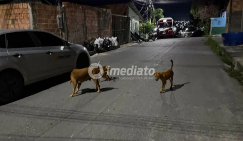Moradores denunciam abandono de cães após a morte do tutor no bairro Braga Mendes