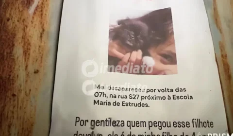 Família procura por filhote Mel, desaparecida no bairro Senador Hélio Campos, em Boa Vista