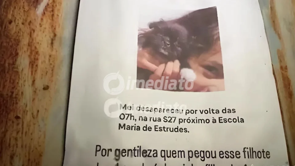 Família procura por filhote Mel, desaparecida no bairro Senador Hélio Campos, em Boa Vista