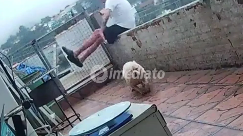 VÍDEO: Homem perde equilíbrio e despenca da laje após ser ‘atropelado’ por cachorro