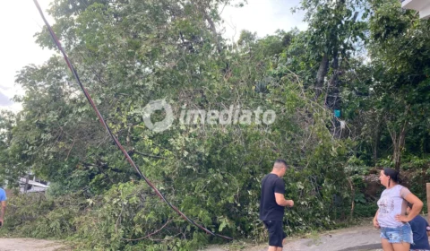 Temporal derruba árvore, rompe fiação e deixa comunidade sem energia no Colônia Santo Antônio