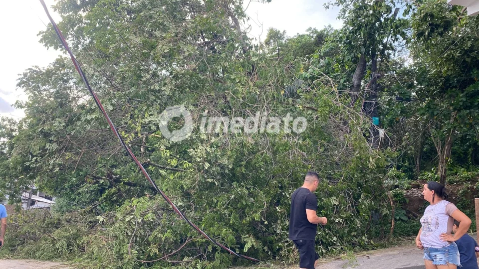 Temporal derruba árvore, rompe fiação e deixa comunidade sem energia no Colônia Santo Antônio