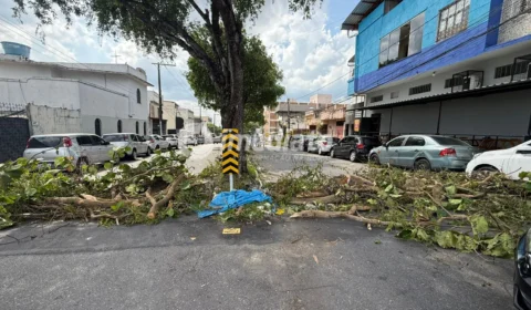 Moradores ficam três dias sem energia após queda de árvore na Avenida Ayrão, no Centro de Manaus