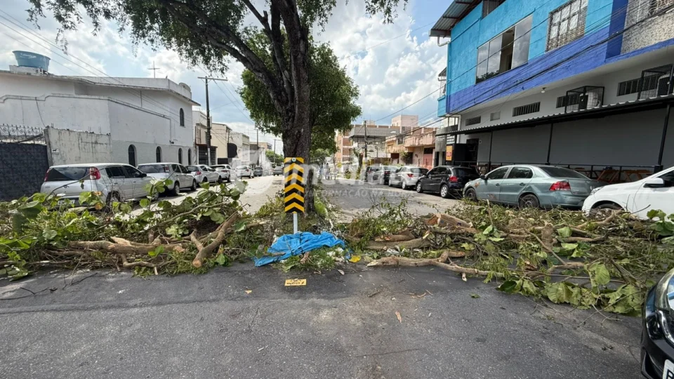 Moradores ficam três dias sem energia após queda de árvore na Avenida Ayrão, no Centro de Manaus
