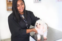 Bem-Estar Animal: Como garantir a tranquilidade dos pets nas festas de fim de ano