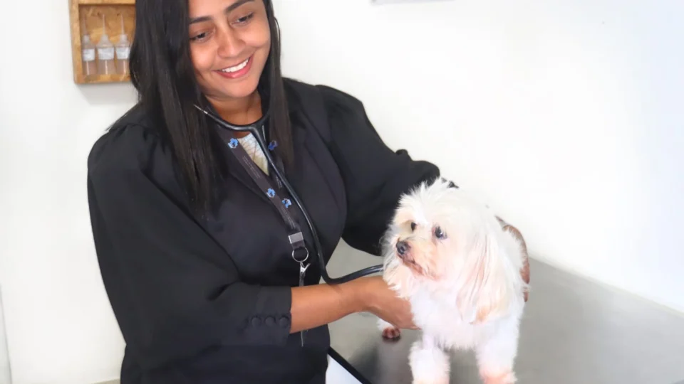 Bem-Estar Animal: Como garantir a tranquilidade dos pets nas festas de fim de ano