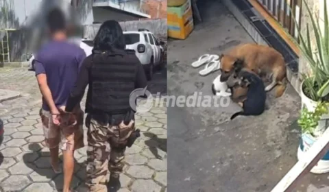 Polícia Civil do Amazonas prende homem por maus-tratos contra quatro cães no bairro Gilberto Mestrinho