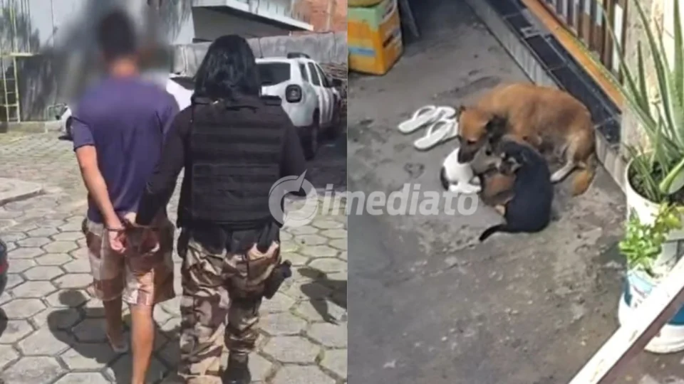 Polícia Civil do Amazonas prende homem por maus-tratos contra quatro cães no bairro Gilberto Mestrinho