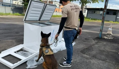 Polícia Federal apreende 182 kg de maconha e armas escondidas em freezers dentro caminhão de frete