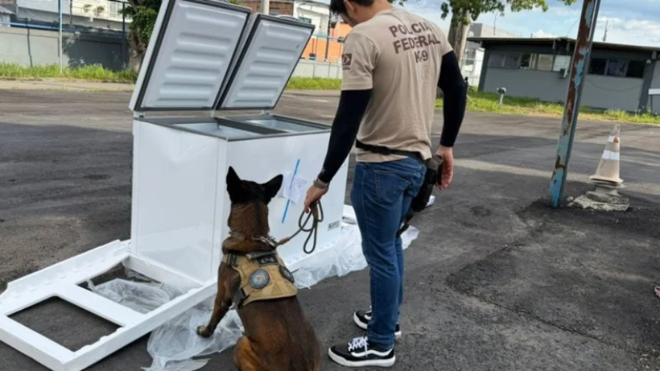 Polícia Federal apreende 182 kg de maconha e armas escondidas em freezers dentro caminhão de frete