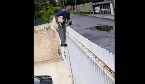 VÍDEO: homem pulou muro, furtou cachorro da família e tentou vender o animal