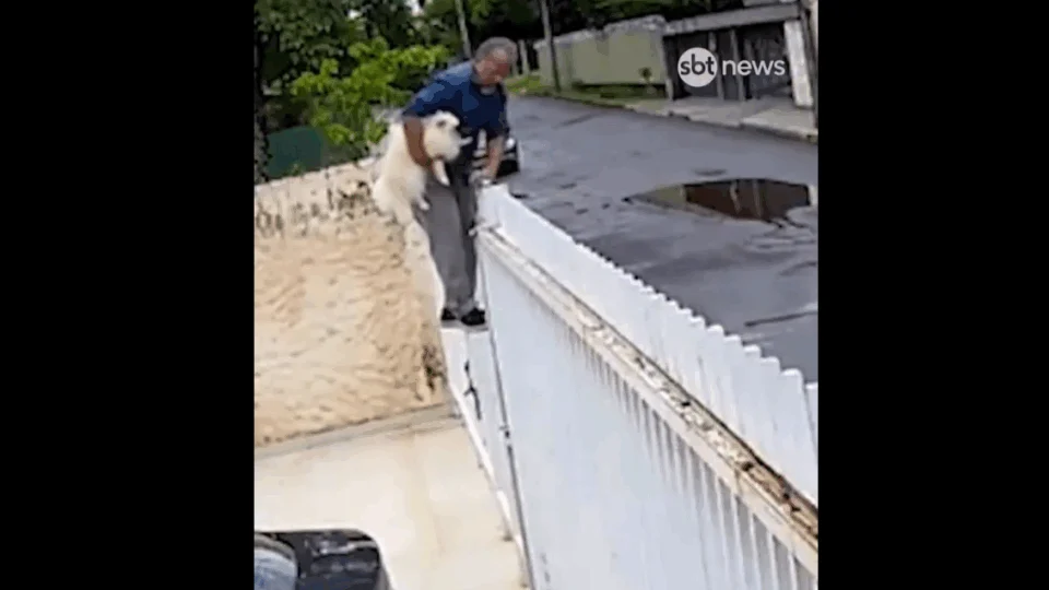 VÍDEO: homem pulou muro, furtou cachorro da família e tentou vender o animal