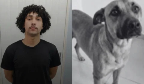 Veja: Homem é preso após confessar maus-tratos e abuso sexual contra cadela em Manaus