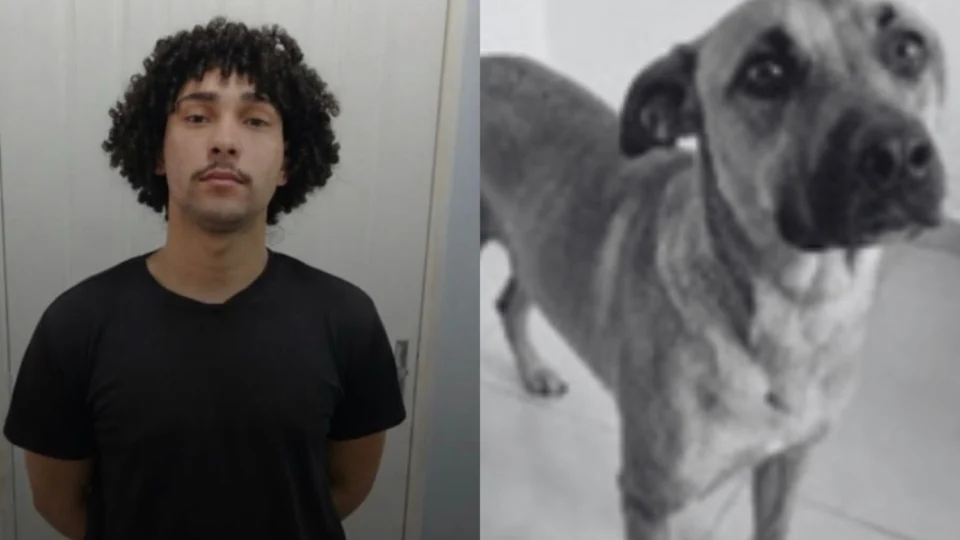 Veja: Homem é preso após confessar maus-tratos e abuso sexual contra cadela em Manaus