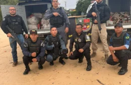 Meia tonelada de maconha avaliada em R$ 10 milhões é encontrada enterrada em ilha de Alvarães