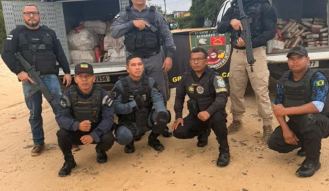 Meia tonelada de maconha avaliada em R$ 10 milhões é encontrada enterrada em ilha de Alvarães