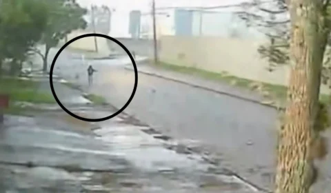 Jovem se agarra a árvore e escapa de tornado com ventos de 180 km/h no Paraná