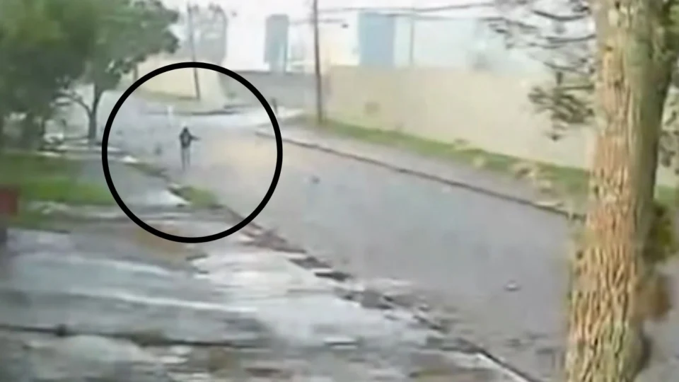 Jovem se agarra a árvore e escapa de tornado com ventos de 180 km/h no Paraná