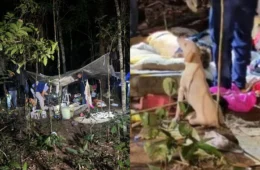Cães de vítima de feminicídio permanecem abandonados em área de mata da UFAM, em Manaus