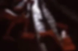 Veja vídeo: Casal é morto a tiros em acesso a balneário no município de Apuí, no sul do Amazonas