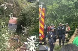 Veja os vídeos: Caminhoneiro perde controle de veículo e invade área de mata do MUSA no Cidade de Deus; Ele foi encontrado com vida