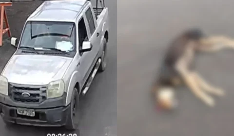 Veja o vídeo: Cachorro é atropelado enquanto dormia em via pública no interior do Amazonas