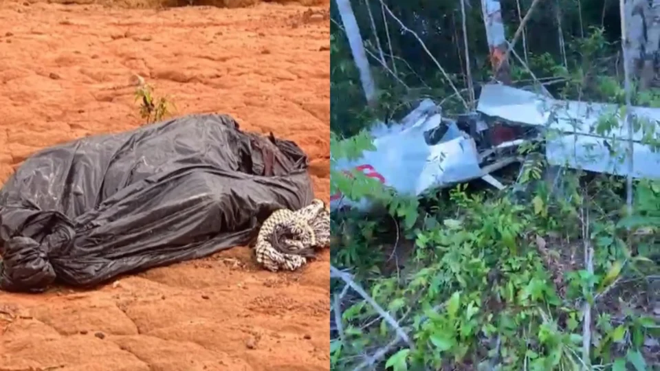 Veja o vídeo: Corpo de piloto é encontrado em mata após possível queda de aeronave ligada ao tráfico no Amazonas