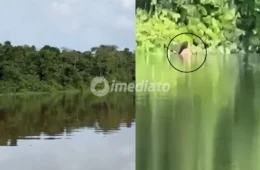VÍDEO: Homem registra mulher falando sozinha e gritando no Rio Negro enquanto abastecia embarcação