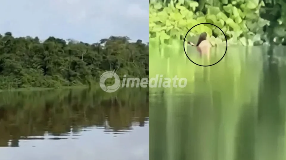 VÍDEO: Homem registra mulher falando sozinha e gritando no Rio Negro enquanto abastecia embarcação