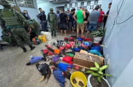 Polícia Ambiental prende mais de 18 pessoas e apreende mais de 40 animais em rinha de galos no bairro Puraquequara