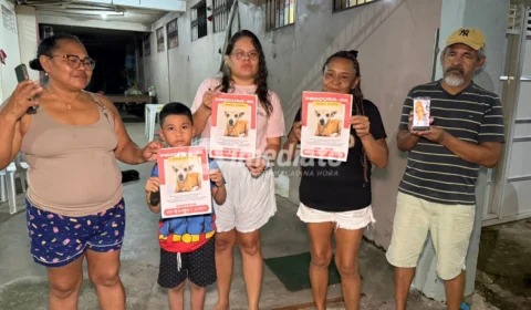 Família oferece recompensa para encontrar cadela de estimação desaparecida em Manaus
