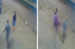 VÍDEO: Homem chuta gato que estava deitado na calçada e é confrontado por mulher que reage com uma cadeira