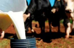 Governo de Rondônia reativa Câmara Setorial do Leite e fortalece cadeia produtiva