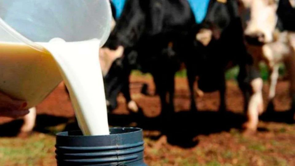 Governo de Rondônia reativa Câmara Setorial do Leite e fortalece cadeia produtiva