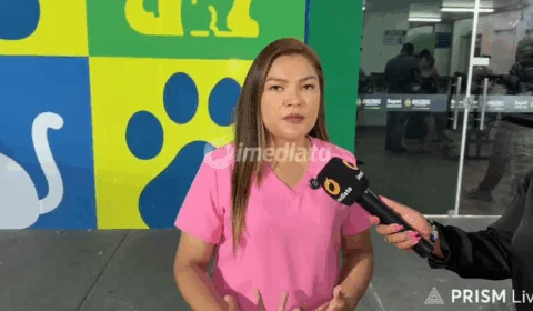 Deputada Joana D’Arc denuncia atropelamento de cadelas em Manaus