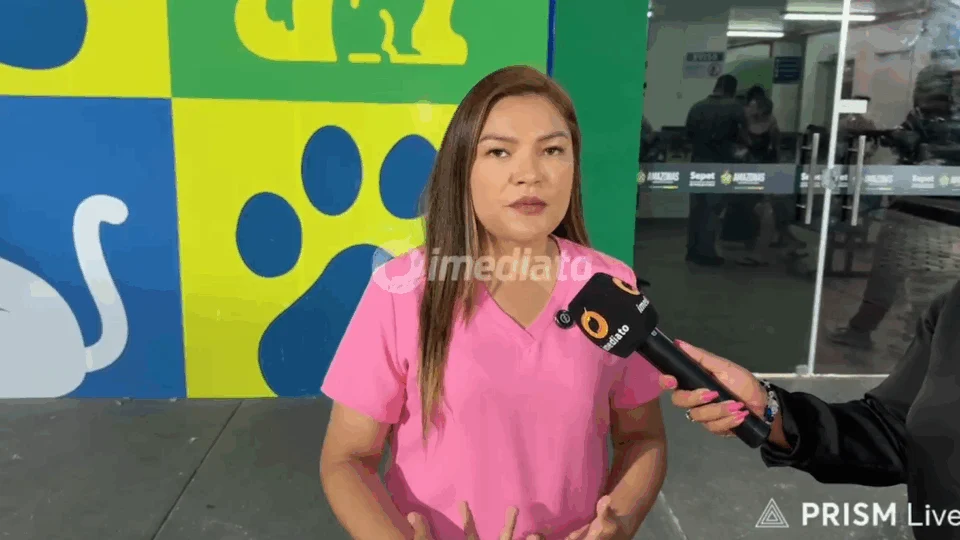 Deputada Joana D’Arc denuncia atropelamento de cadelas em Manaus