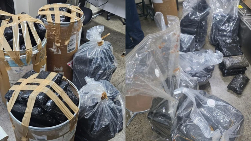 Operação Eldorado: Polícia Civil apreende 153 kg de skunk avaliados em R$ 3 milhões em Manaus