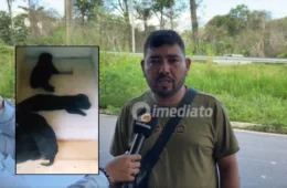 Homem resgata filhotes abandonados e pede ajuda para salvar cadela ferida na zona leste de Manaus
