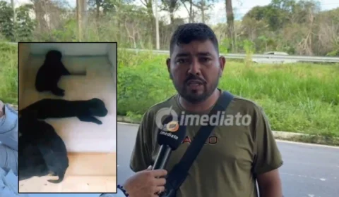 Homem resgata filhotes abandonados e pede ajuda para salvar cadela ferida na zona leste de Manaus