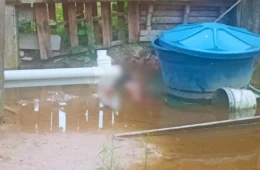 Homem é encontrado morto nos fundos de residência no bairro Tarumã, em Manaus